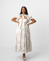 The blue moon dress